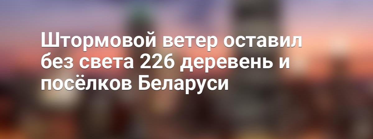 Штормовой ветер оставил без света 226 деревень и посёлков Беларуси — Видео