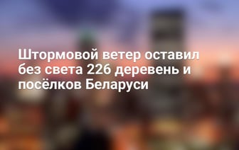Штормовой ветер оставил без света 226 деревень и посёлков Беларуси — Видео
