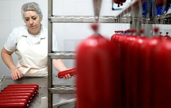 Россельхознадзор обнаружил в мясе и колбасе 5 белорусских предприятий антибиотики и кишечную палочку