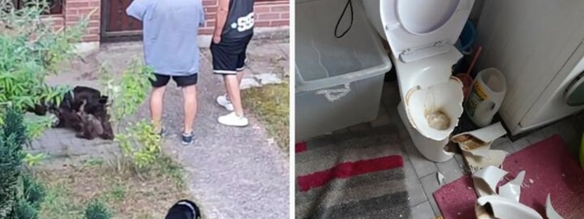 Приехали с бойцовским псом, сняли двери, разбили унитаз, вынесли вещи. Семью беларусов выселили из дома под Варшавой