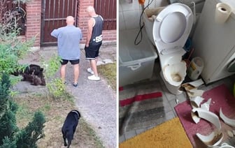 Приехали с бойцовским псом, сняли двери, разбили унитаз, вынесли вещи. Семью беларусов выселили из дома под Варшавой