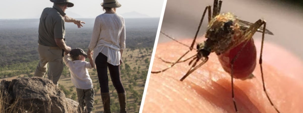 Туристов предупредили о всплеске смертельной жёлтой лихорадки в некоторых странах. Как белорусам обезопасить себя?