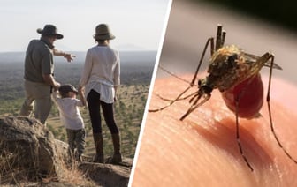 Туристов предупредили о всплеске смертельной жёлтой лихорадки в некоторых странах. Как белорусам обезопасить себя?