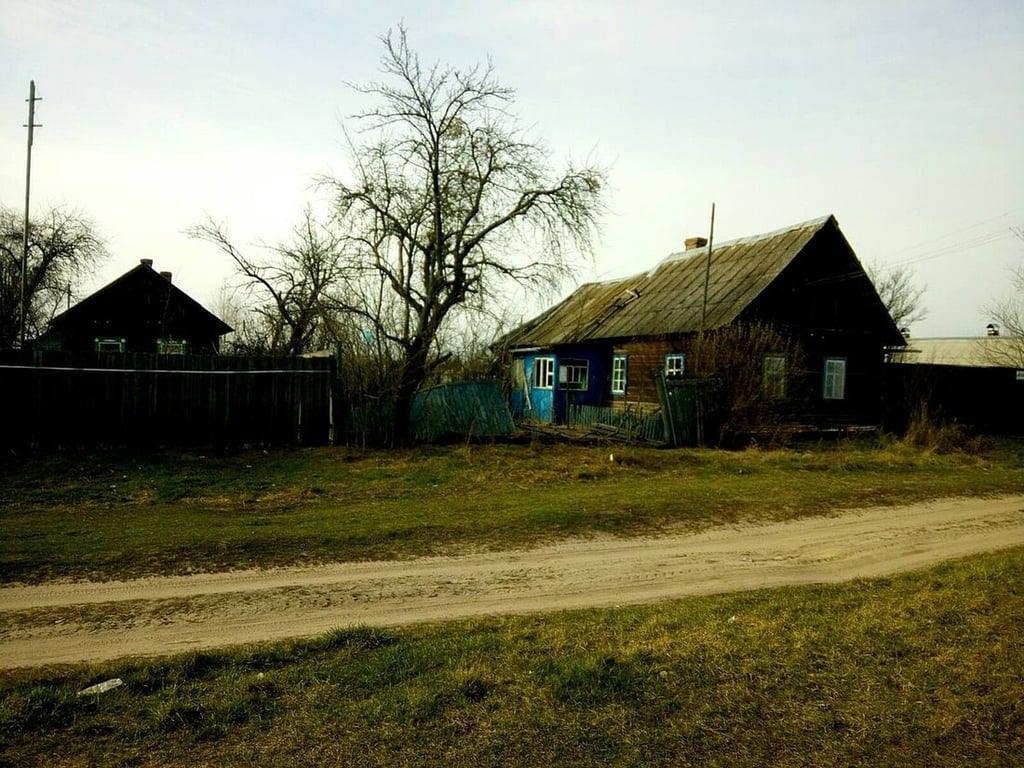 Смотрим дома в деревнях, которые продаются через аукцион от 40 рублей
