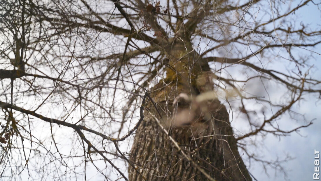 Белоруска восстанавливает родовое гнездо в глухой деревне у реки