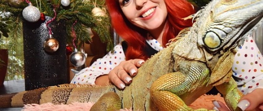 «А дома – дракон в миниатюре». Символ года живет в Барановичском районе