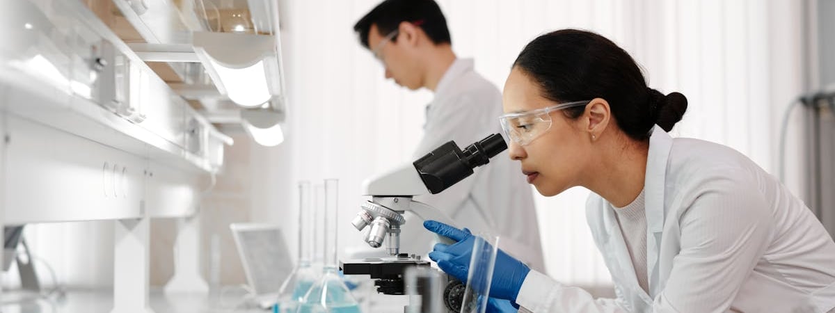 Учёные предупредили об угрозе из-за образования суперконтинента