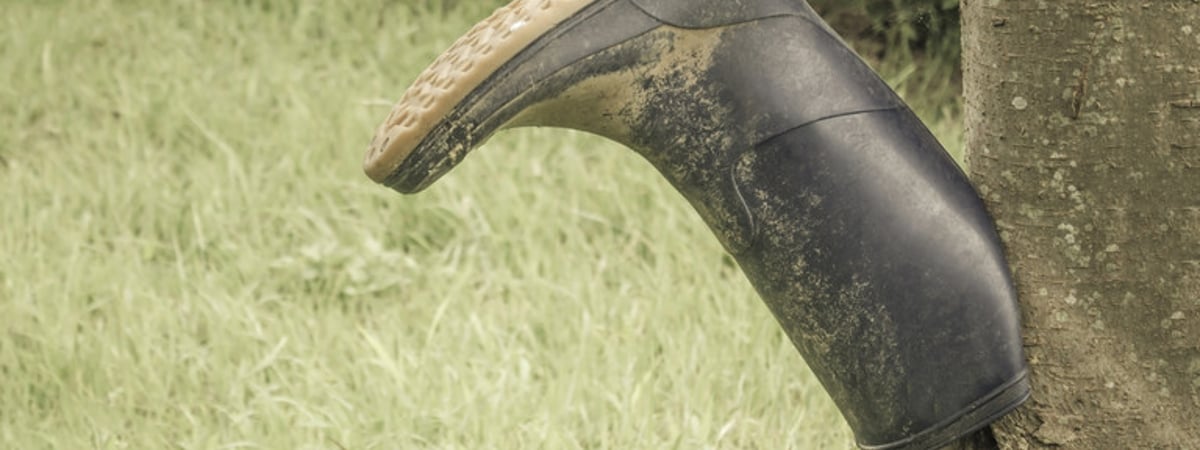 «Кое-кто у нас большой ученый. Может определить что угодно и кому угодно»