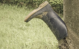 «Кое-кто у нас большой ученый. Может определить что угодно и кому угодно»