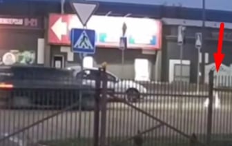 В Бресте водитель сбил на переходе 10-летнюю девочку — видео