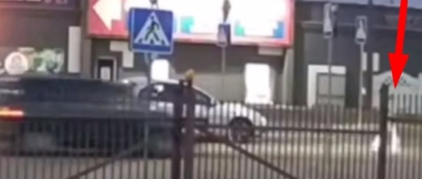 В Бресте водитель сбил на переходе 10-летнюю девочку — видео