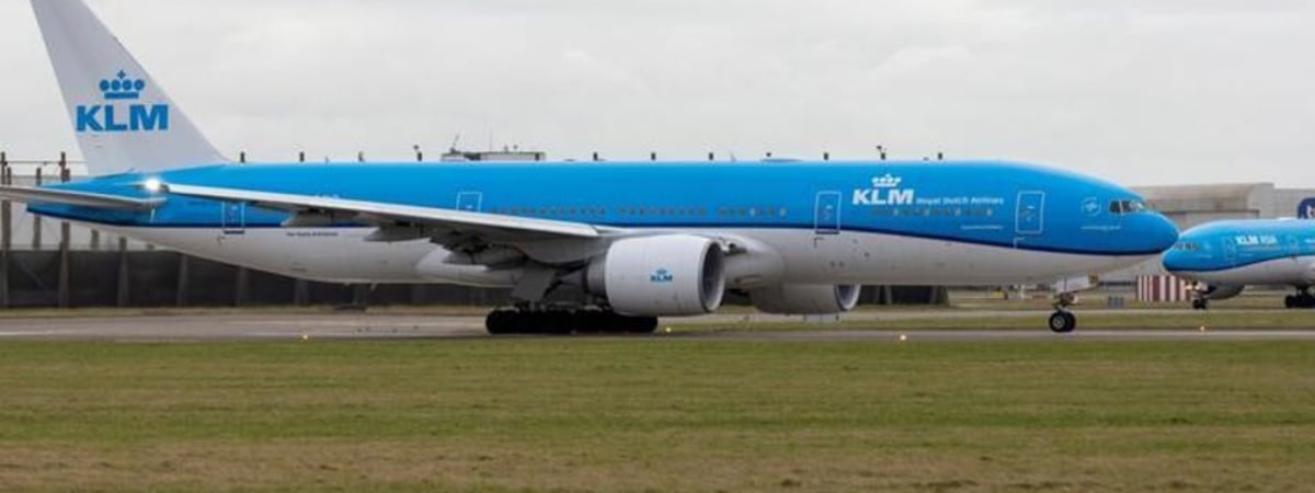 Вместе с людьми на рейсе из Амстердама летела сотня свиней — в грузовом отсеке. Пилот решил сесть из-за вони в салоне