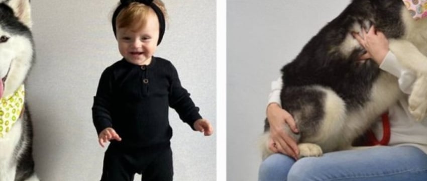 «Зарядил ружье первым попавшимся патроном». Чем закончилась история с застреленной хаски