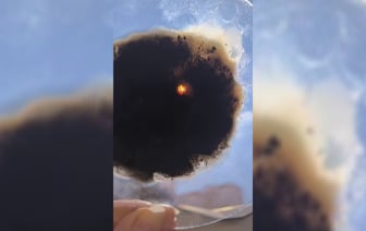 «Кажется, нас кинули» — Белорусы поделились в TikTok первыми впечатлениями от солнечного затмения — Видео