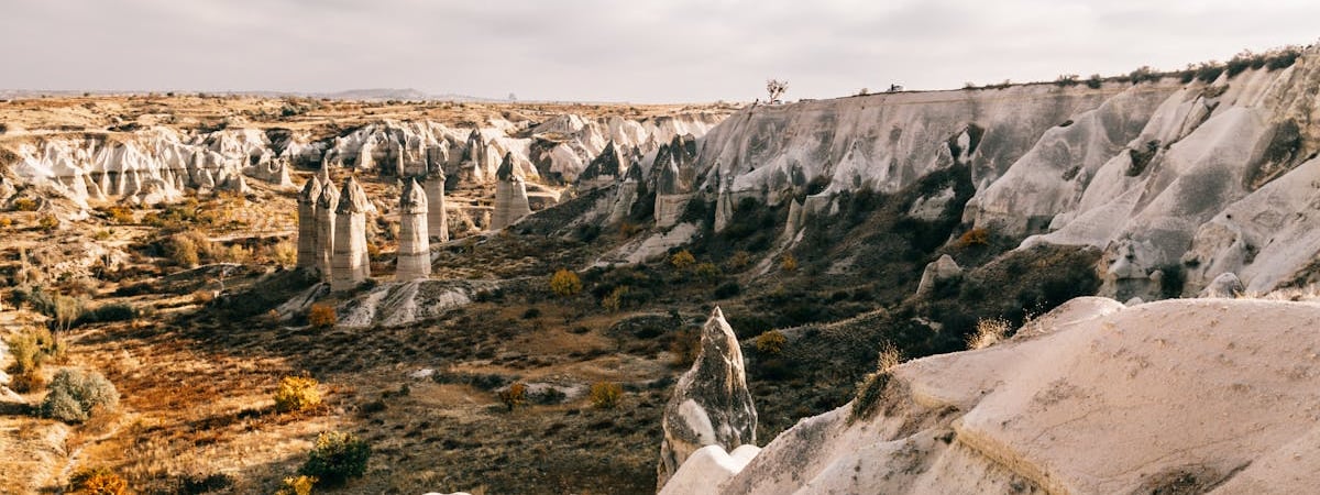 Турция получила проект предложения от США по F-16