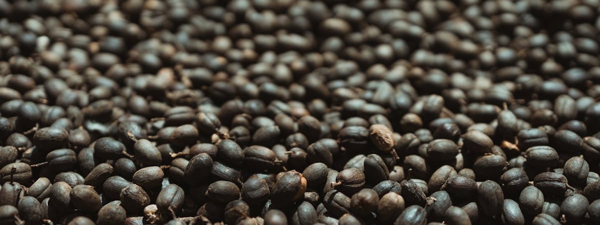 Мировой экспорт кофе вырос на 11,7%