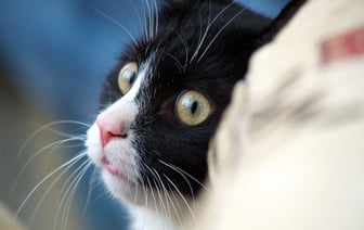 Сегодня начнут включать тепло в жилфонде Витебской области