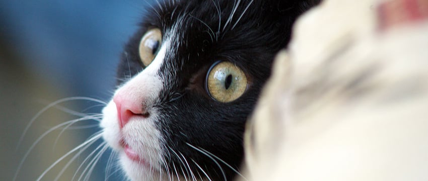 Сегодня начнут включать тепло в жилфонде Витебской области