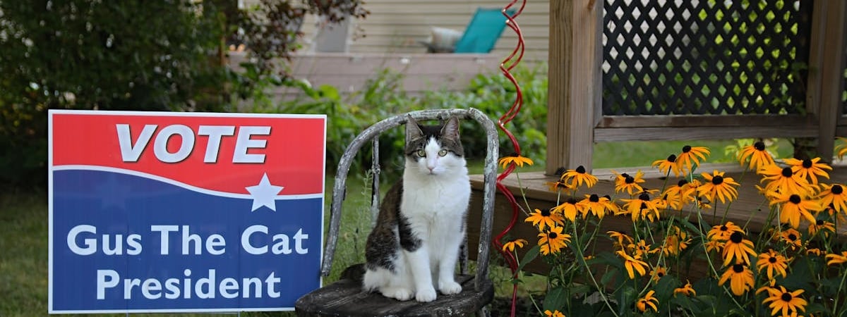 В Румынии началось голосование на выборах президента страны