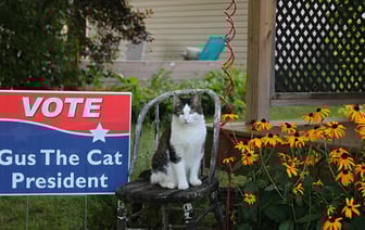 В Румынии началось голосование на выборах президента страны