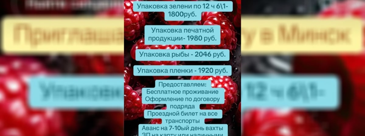 «Окажешься неизвестно где» — Белорусам предложили от 1800 рублей зарплаты, жильё в Минске и проездной. Но возникли вопросы — Фото