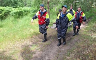 Потерявшаяся женщина найдена в лесу