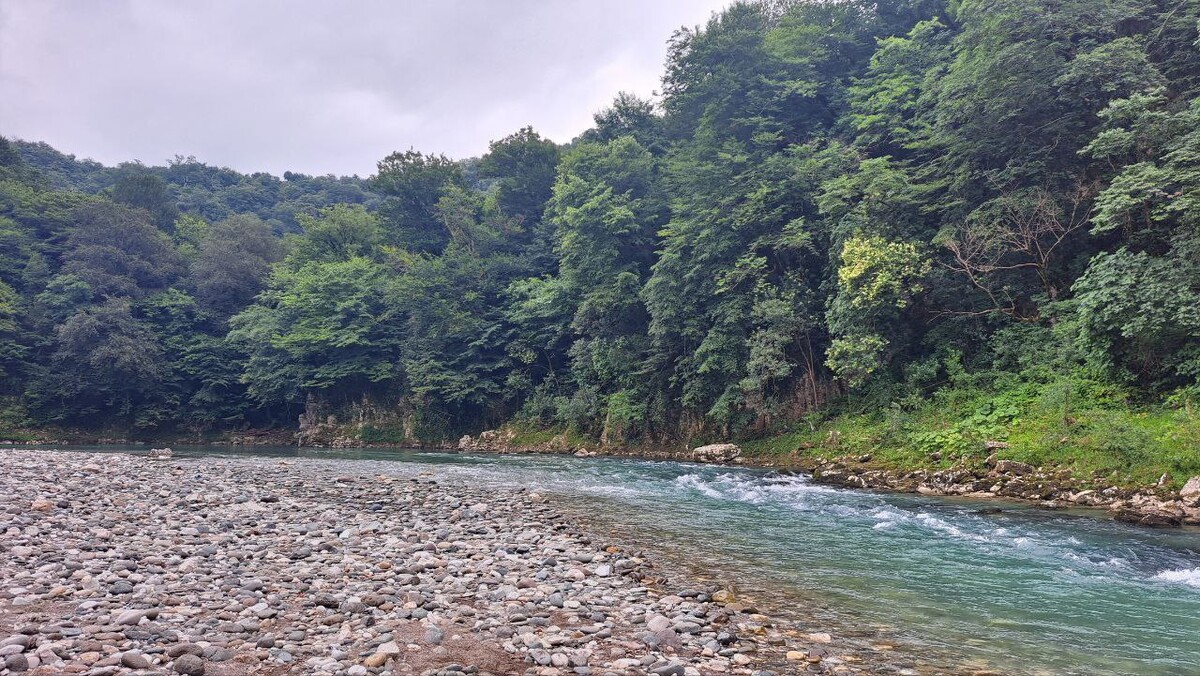 «Успели сходить пешком в Турцию». Белорусы рассказали, как съездили в Грузию
