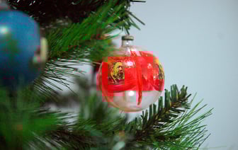 Для Орши купили искусственную новогоднюю ель. Узнали, сколько она стоит