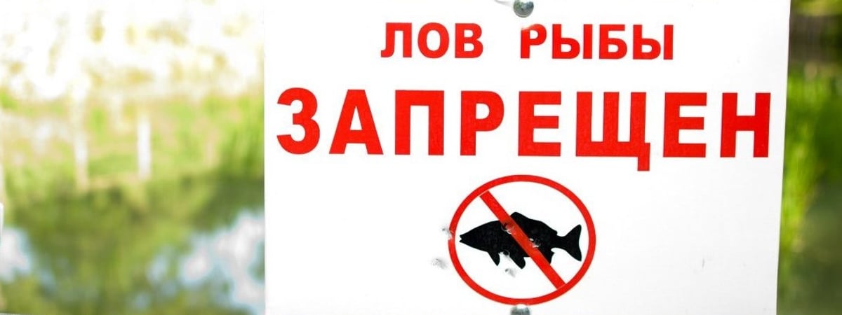 В Беларуси вводят ограничения на рыбалку во время нереста — что нужно помнить рыболовам (+даты запретов)