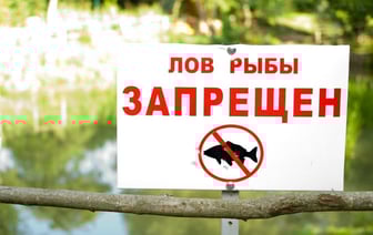 В Беларуси вводят ограничения на рыбалку во время нереста — что нужно помнить рыболовам (+даты запретов)