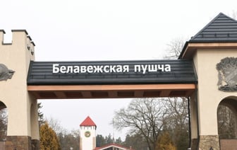 Беловежскую пущу можно посетить бесплатно, но есть условие