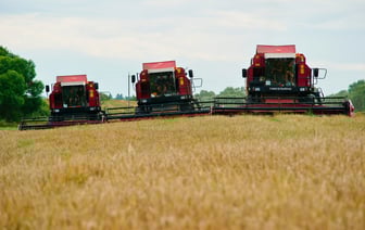 Каждая 11-я тонна белорусского зерна намолочена в Витебской области