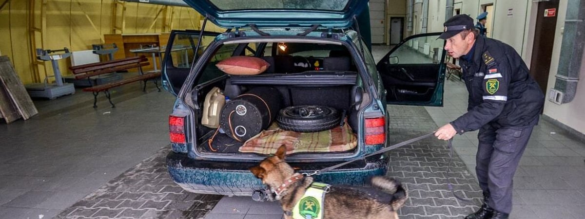 Плюс 10 позиций. В Беларуси расширили перечень товаров, которые нельзя провезти через границу «для личного пользования» — Официально