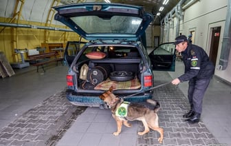 Плюс 10 позиций. В Беларуси расширили перечень товаров, которые нельзя провезти через границу «для личного пользования» — Официально