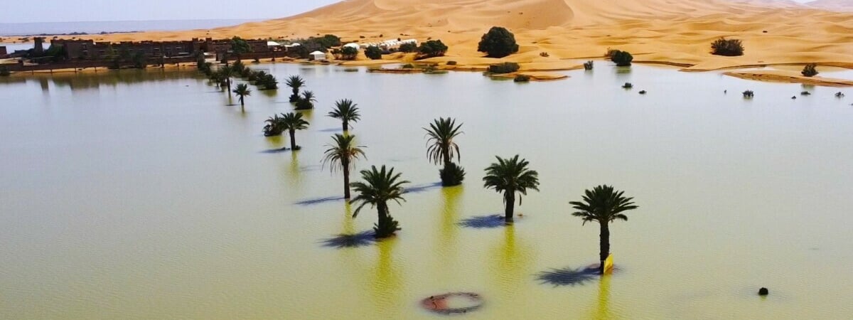 Пустыню Сахара затопило впервые за 50 лет — 20 человек погибли — Видео