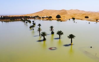 Пустыню Сахара затопило впервые за 50 лет — 20 человек погибли — Видео