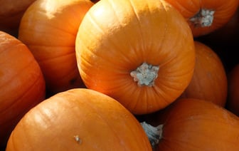 Мололи муку, играли в бильярд из картошки. Фотомоменты с областных «Дожинок» в Полоцке