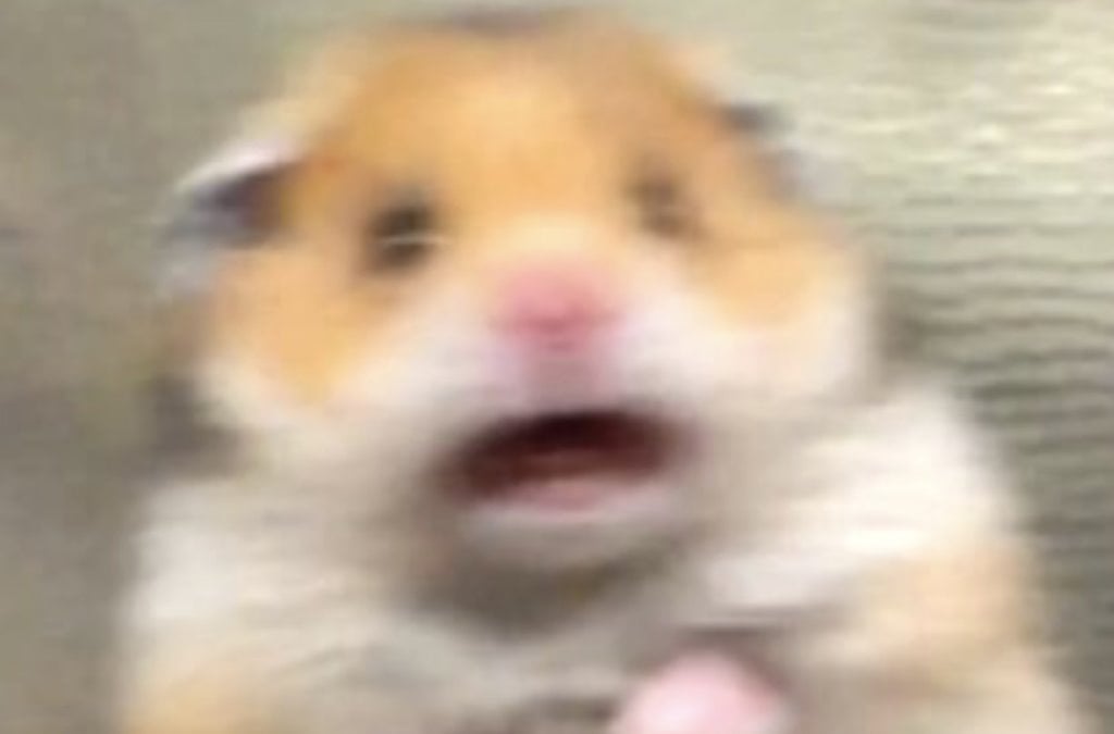 Фото из открытых источников (иллюстративное)