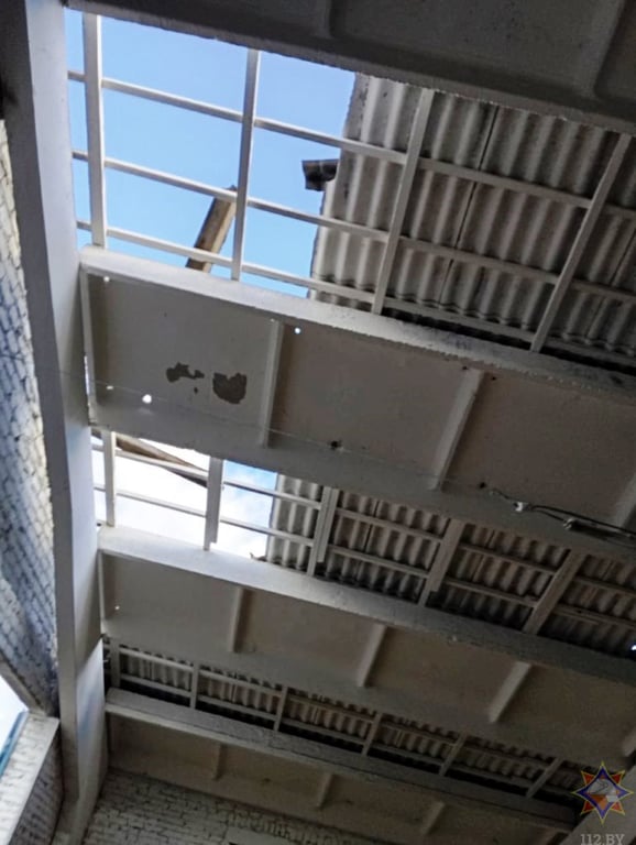 В Бресте дерево упало на здание