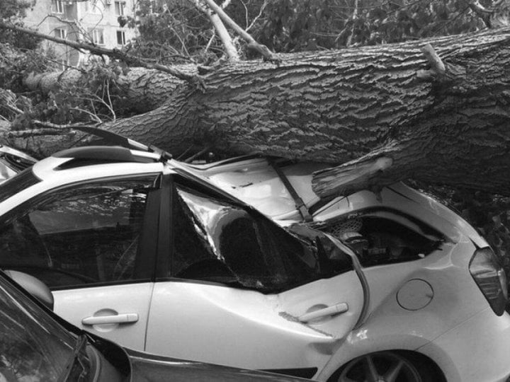 Фото из открытых источников (иллюстративное)