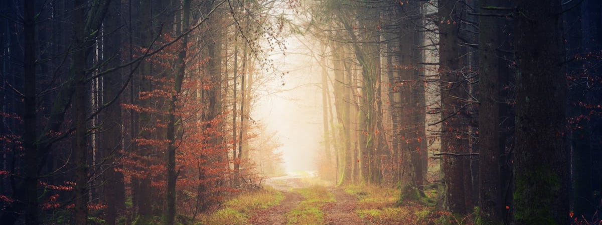 В России продажи BelGee за ноябрь упали на 27,2%