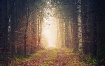 В России продажи BelGee за ноябрь упали на 27,2%