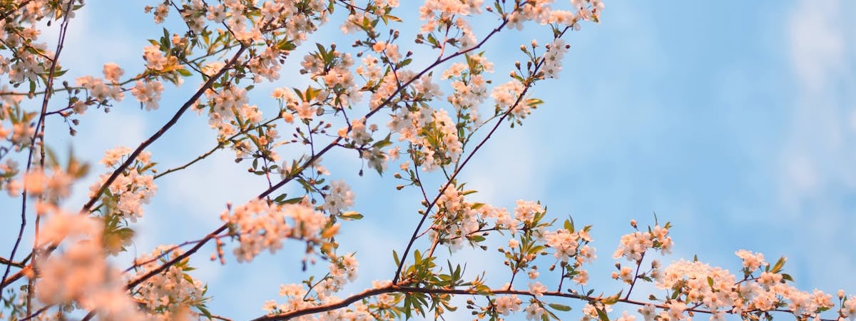 Совмин Беларуси отрегулировал торговые надбавки на комбикорма