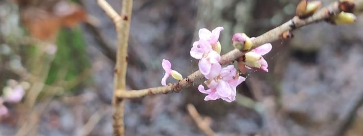 За последние несколько дней погода в Беларуси побила 129 рекордов – что происходит и чем это грозит