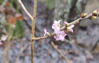 За последние несколько дней погода в Беларуси побила 129 рекордов – что происходит и чем это грозит