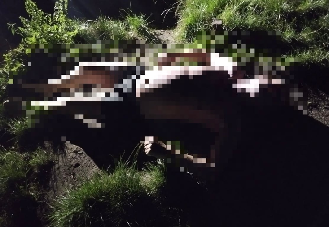 Из Мухавца в Бресте достали тело мужчины