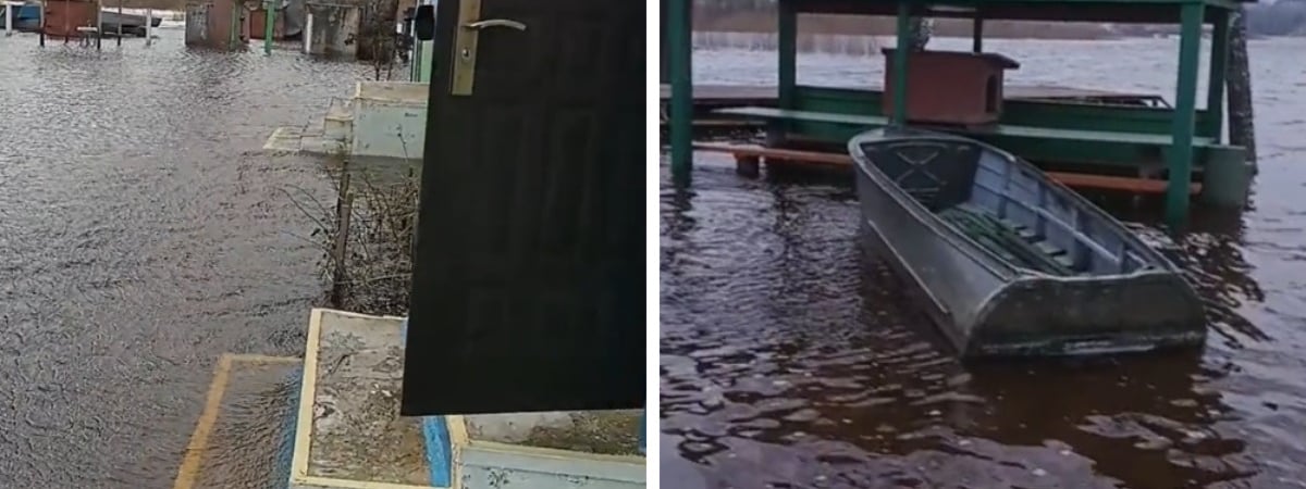 «Карасей можно с крыльца ловить» — Белорус удивил пользователей «полесским морем» — Видео