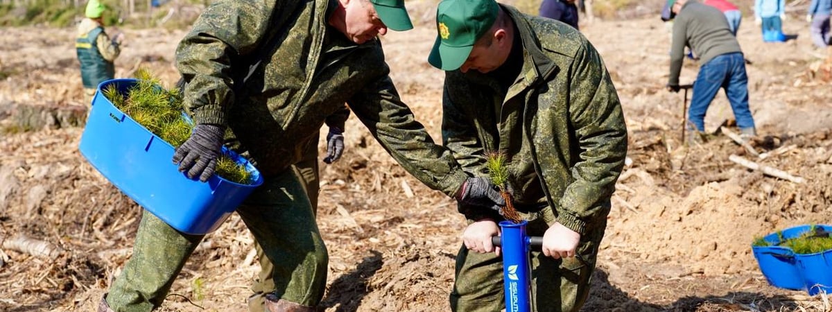 В Беларуси пройдет добровольная акция «Лес! Дабро! Парадак!» — какие работы приглашают выполнить