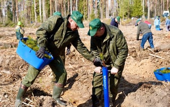 В Беларуси пройдет добровольная акция «Лес! Дабро! Парадак!» — какие работы приглашают выполнить