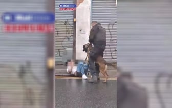 В Великобритании полицейская собака стащила штаны с предполагаемого преступника во время задержания. Есть видео — Видео